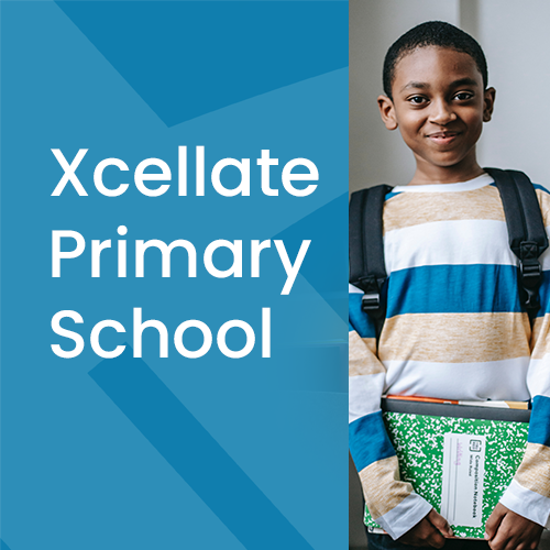 Primary-School1